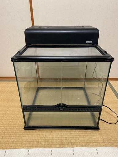 エキゾテラ グラステラリウム4545