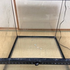 エキゾテラ グラステラリウム4545
の画像