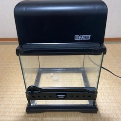エキゾテラ グラステラリウムナノの画像
