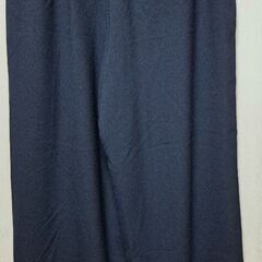 新品　大きいサイズ　女性　紺色　パンツの画像