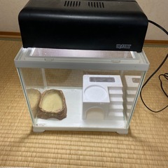 ジェックス　レプテリア300 highの画像