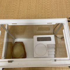 ジェックス　レプテリア300 highの画像