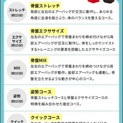 【美品】ツカモトエイム エアリーツイストボディ マッサージチェア リクライニングの画像