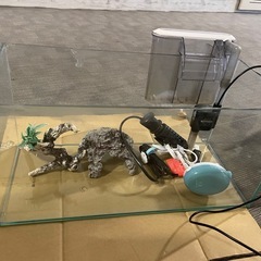 ガラス水槽セットの画像