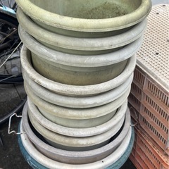 プラスチック製プランター（大）の画像