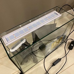 ⭐️フレームレス水槽 ライト付き⭐️の画像