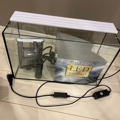 ⭐️フレームレス水槽 ライト付き⭐️の画像