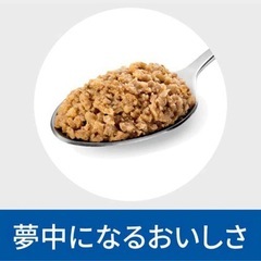 i/d ローファット オリジナル 消化ケア 低脂肪 犬用 特別療法食 ウェット 22缶 ヒルズ プリスクリプション・ダイエットの画像