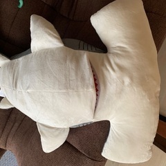 シュモクサメ　グレーの画像