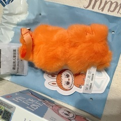 ラブブ　イニシャルZ   オレンジ　ぬいぐるみペンダント　マスコットの画像