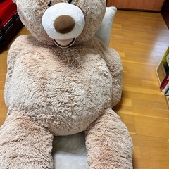 コストコのクマ　滋賀県守山市でも引き取り可の画像