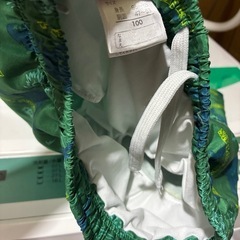 恐竜の水着の画像