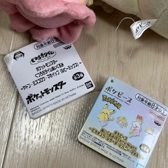 ポケットモンスター ぬいぐるみ マスコット　2体セットの画像