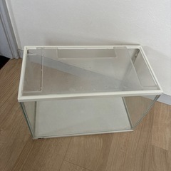 水槽　セットの画像