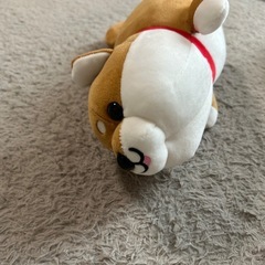 犬 豆柴ぬいぐるみの画像