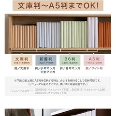 LOWYA 本棚 ウォルナットの画像