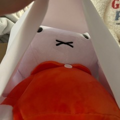 ぬいぐるみの画像