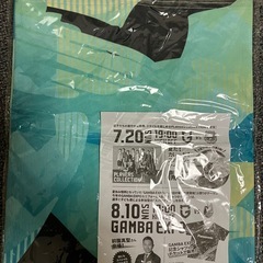 GAMBA SONIC 2025シャツ 新品未使用の画像