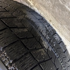 引き取り先決定しましたの画像