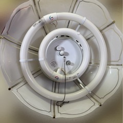 照明 電気の画像