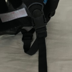 ビッケヘルメットの画像