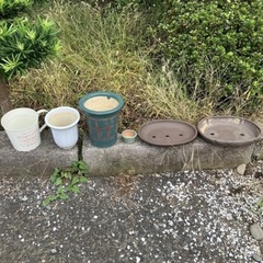 植木鉢の画像