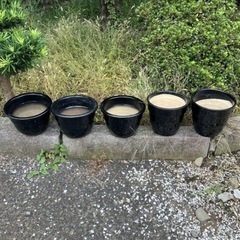植木鉢の画像