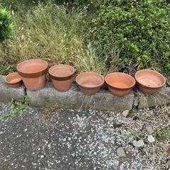 植木鉢の画像