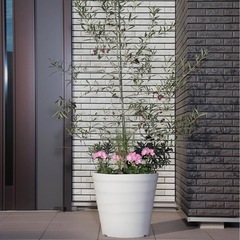 特大植木鉢40cmと浅型35cm2個の画像