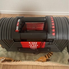 【引き取り限定】可変式ダンベル　41.5kg×2　ベンチセットの画像