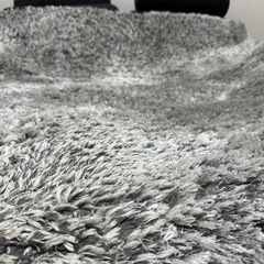 
カーペットの画像