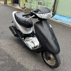ライブディオ❗️ 不動❗️の画像