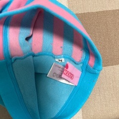 アースマジックレギタイの画像