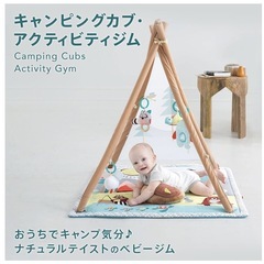 SKIP HOP ベビージムの画像