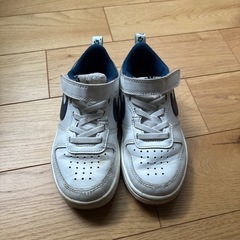NIKE 肉球　スニーカーの画像