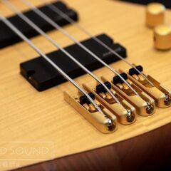 SCHECTER Diamond Series Stiletto Customの画像