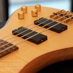 SCHECTER Diamond Series Stiletto Customの画像