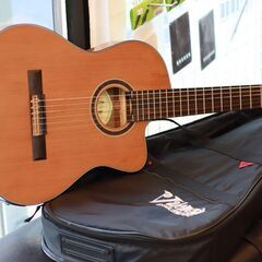 Valencia VC774TCE エレガットギターの画像