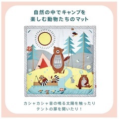 SKIP HOP ベビージムの画像