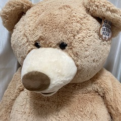 コストコ巨大 くまちゃん🧸 の画像