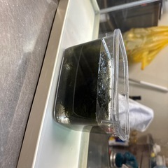 ６０スリム水槽の画像