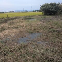 畑、無料で貸します。