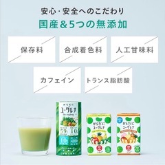 【新品】栄養59種 からだにユーグレナ グリーンスムージー 無添加 乳酸菌 美容と健康の画像