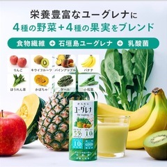 【新品】栄養59種 からだにユーグレナ グリーンスムージー 無添加 乳酸菌 美容と健康の画像