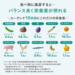 【新品】栄養59種 からだにユーグレナ グリーンスムージー 無添加 乳酸菌 美容と健康の画像