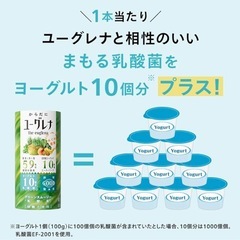 【新品】栄養59種 からだにユーグレナ グリーンスムージー 無添加 乳酸菌 美容と健康の画像