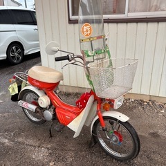 スズキ　スージーの画像