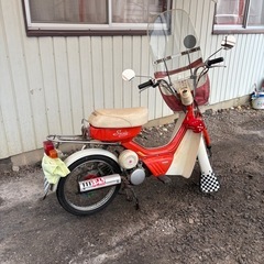 スズキ　スージーの画像
