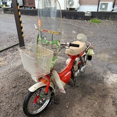 スズキ　スージーの画像
