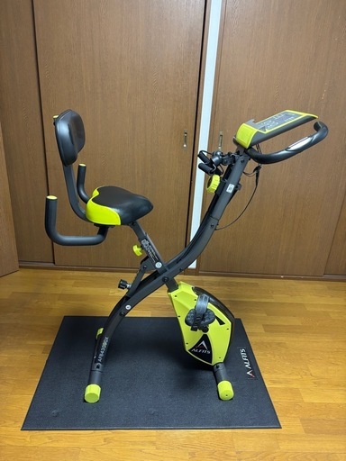 ALINCO コンフォートバイクⅡ マット付き